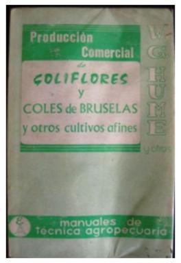 Produccion Comercial De Coliflores