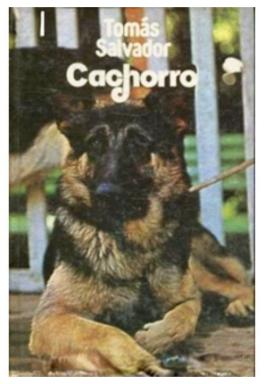 Cachorro