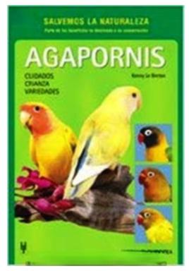 Agapornis