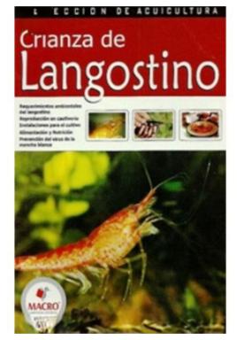 Crianza De Langostinos