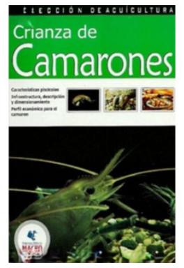 Crianza De Camarones