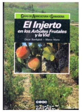 El Injerto En Los Arboles Frut