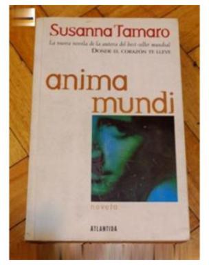 Anima Mundi