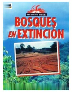 Bosques En Extincion