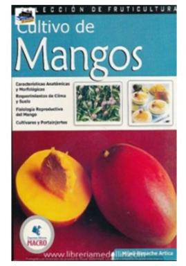 Cultivo De Mangos