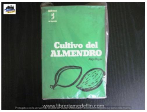 Cultivo Del Almendro