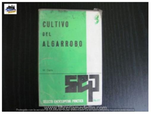 Cultivo Del Algarrobo