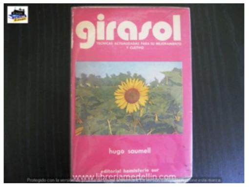 Girasol