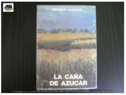 La Cana De Azucar