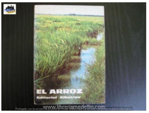 El Arroz