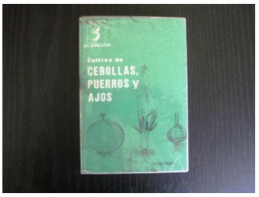 Cebollas Puerros Y Ajos