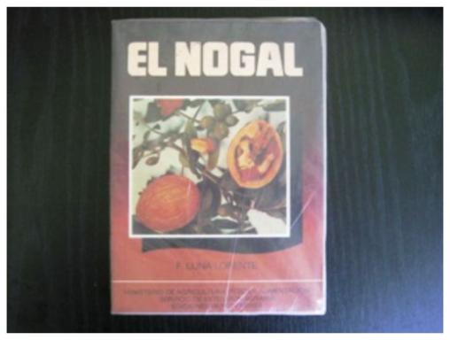 El Nogal