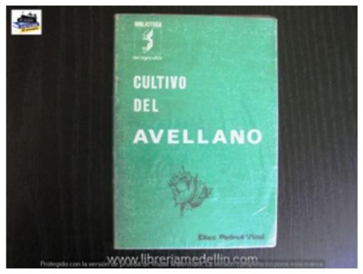 El Cultivo Del Avellano