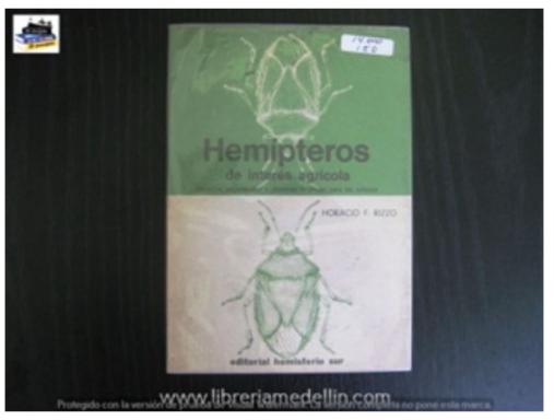 Hemipteros De Interes Agricola