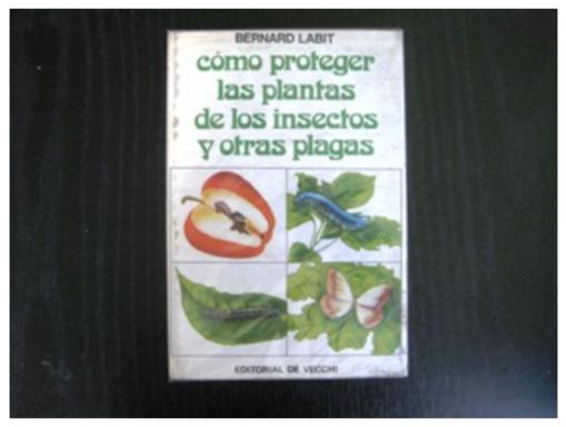 Como Proteger Las Plantas