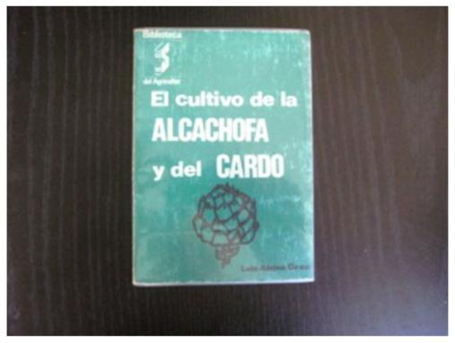 El Cultivo De La Alcachofa Y Del Cardo