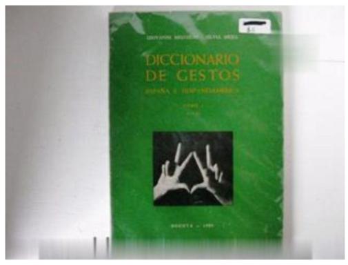 Diccionario De Gestos