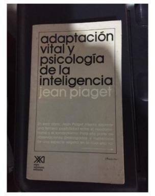 Adaptacion Vital Y Psicologia De La Inteligencia