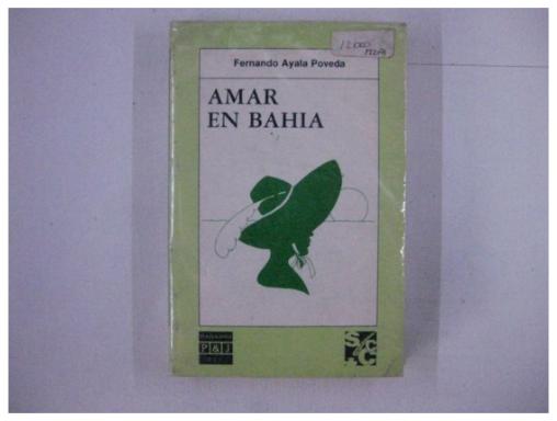 Amar En Bahia