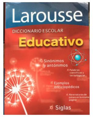 Diccionario Escolar Educativo