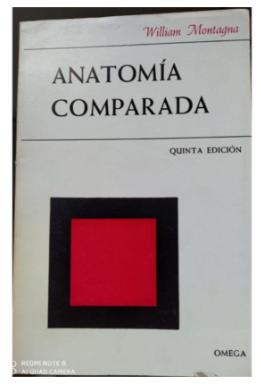 Anatomia Comparada