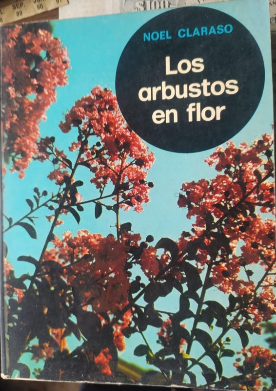 Los Arbustos En Flor