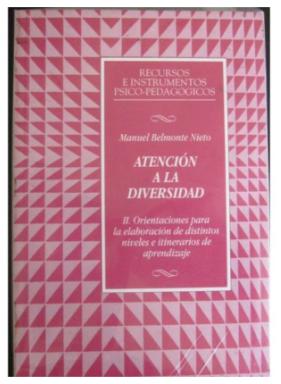 Atencion A La Diversidad Tomo Ii