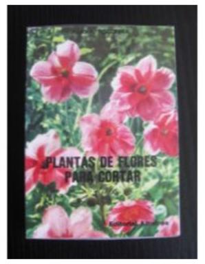 Plantas De Flores Para Cortar